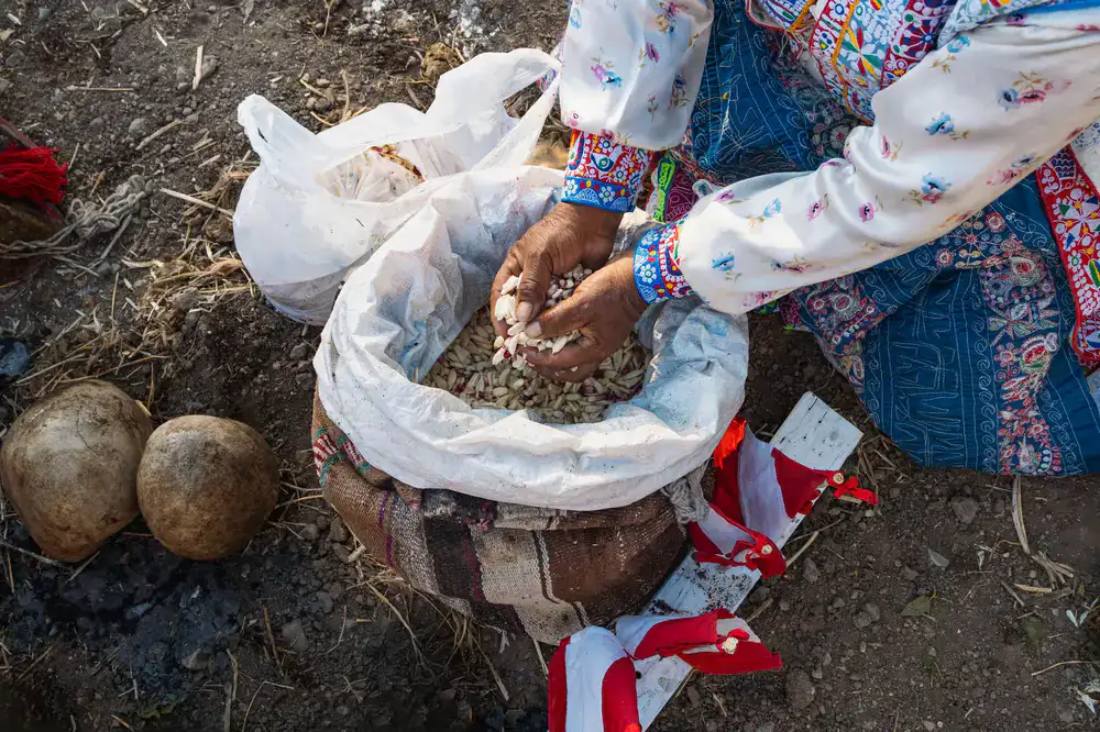 Manos trabajando la arcilla en el torno